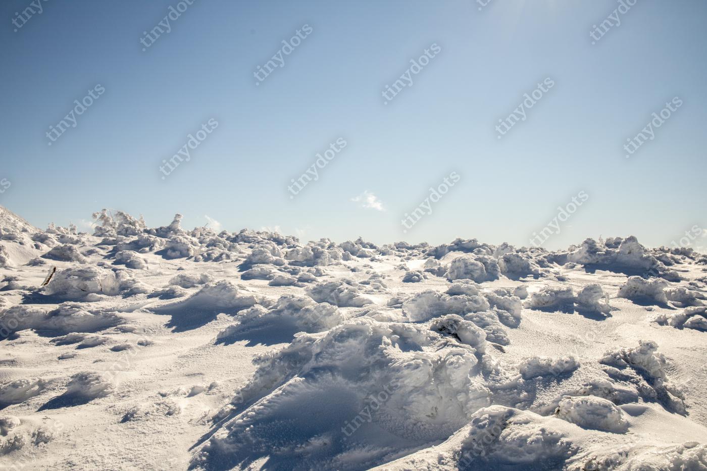 Fototapeta Snowy desert - Krkonoše