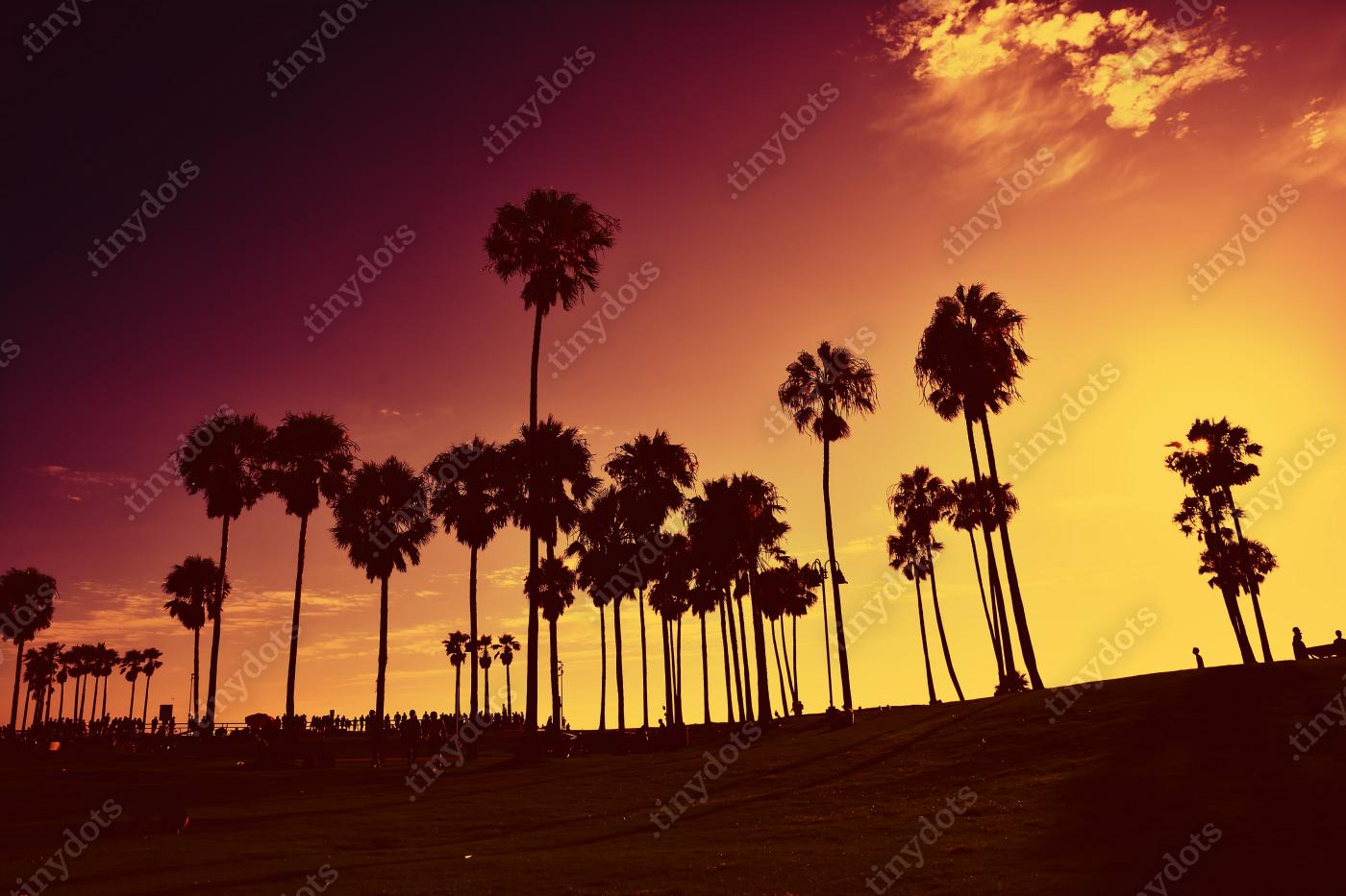 Obraz na pleksi Zachód słońca na Venice Beach, Kalifornia, USA.