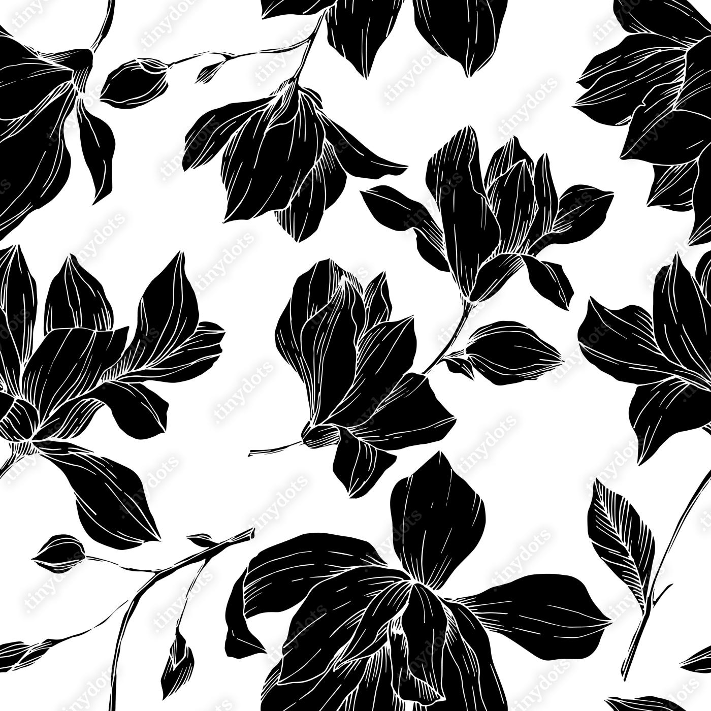 Fototapeta Wektor Magnolia kwiatowe kwiaty botaniczne. Czarny i biały wygrawerowane sztuki tuszu. Bez szwu wzór tła.