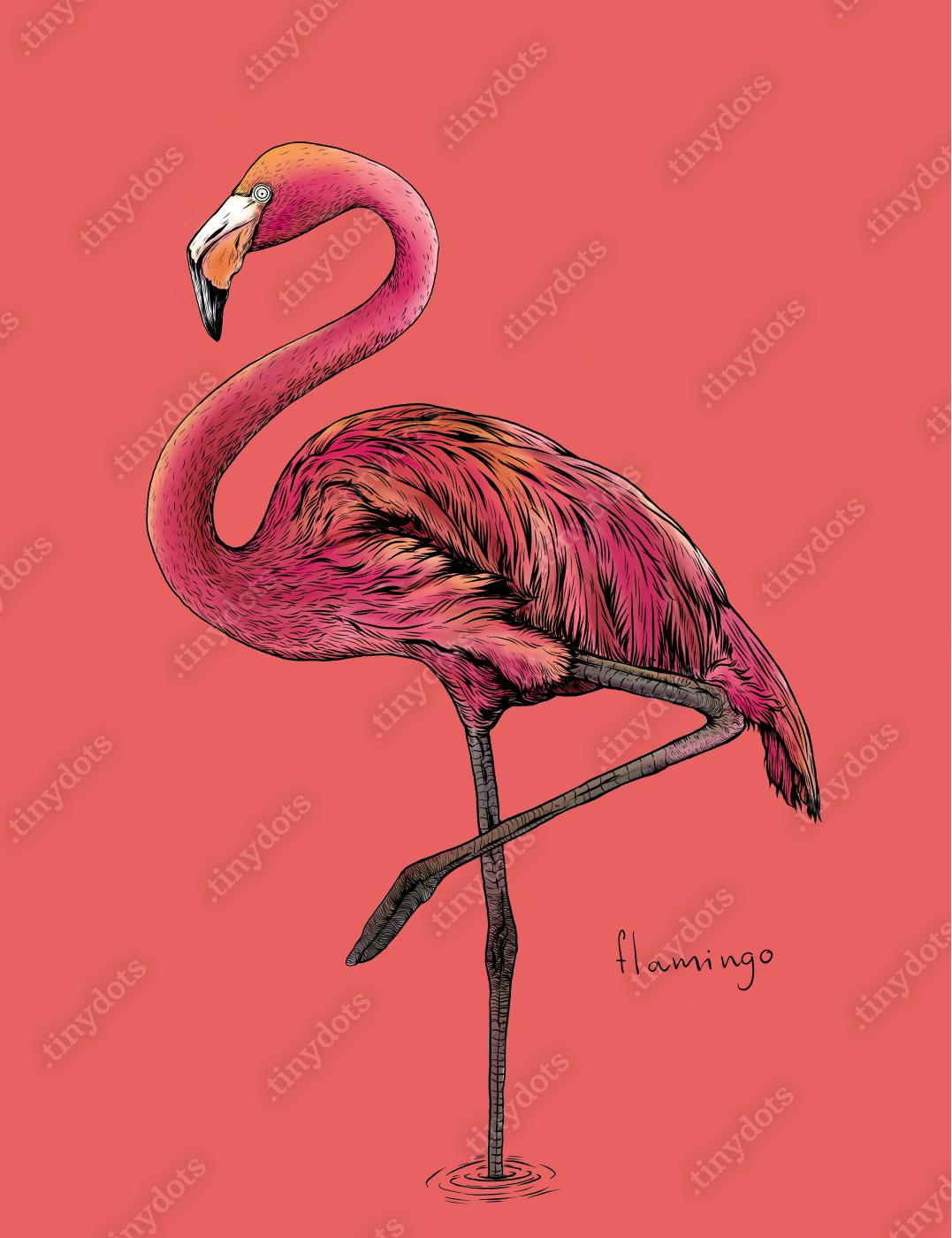 Obraz na płótnie Flamingo ptak na różowym tle, rysunek odręczny