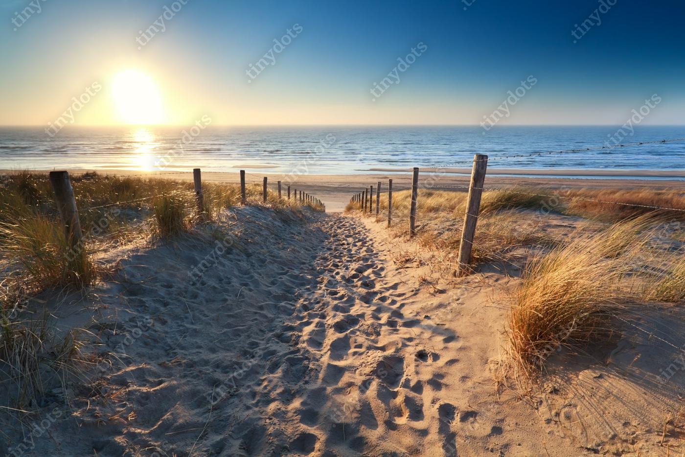 Fototapeta droga do piaszczystej plaży na Morzu Północnym